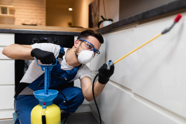 Best Rat Extermination Near Me  in Rocklin, CA