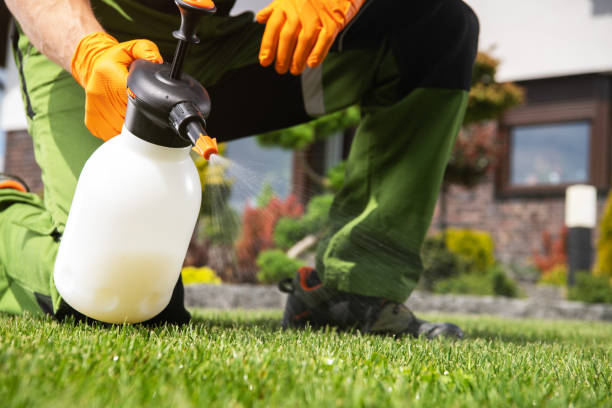 Best Residential Pest Control  in Rocklin, CA