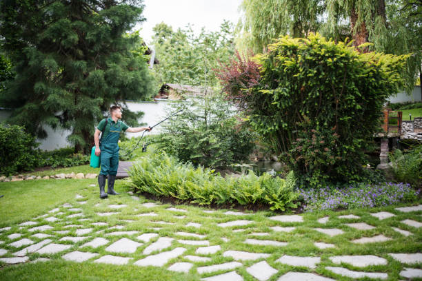 Best Commercial Pest Control Services  in Rocklin, CA