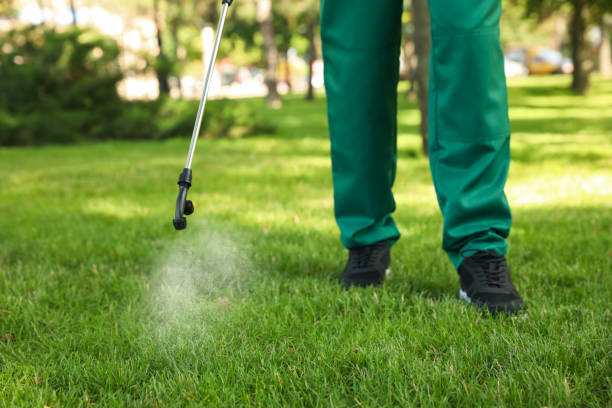 Best Wasp Removal Services  in Rocklin, CA
