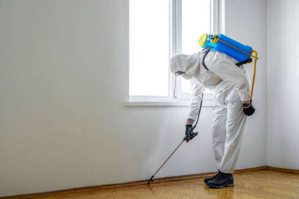 Best Insect Control  in Rocklin, CA