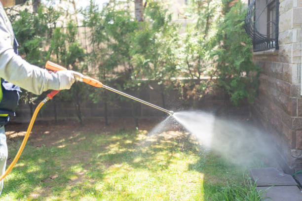 Best Best Pest Control Companies  in Rocklin, CA