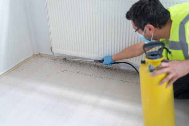 Pest Prevention Services in Rocklin, CA