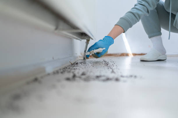 Best Bed Bug Extermination  in Rocklin, CA