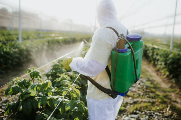 Best Commercial Pest Control Services  in Rocklin, CA
